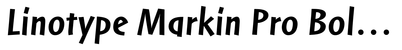 Linotype Markin Pro Bold Italic